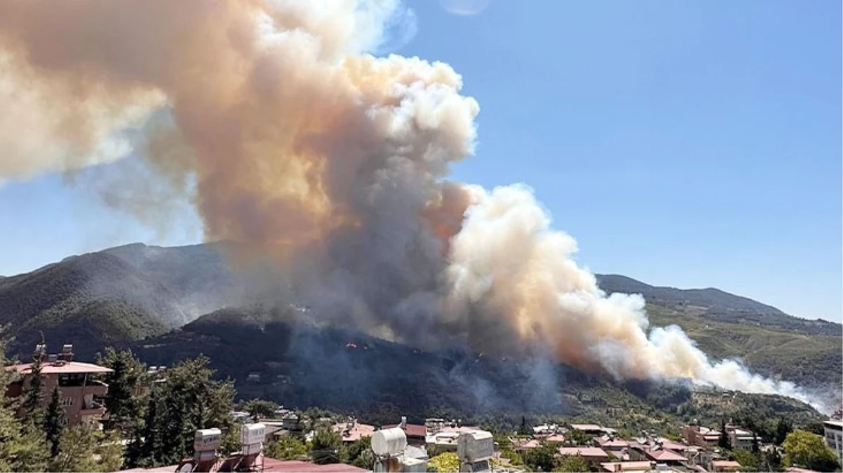 Hatay'daki orman yangını büyük oranda kontrol altına alındı